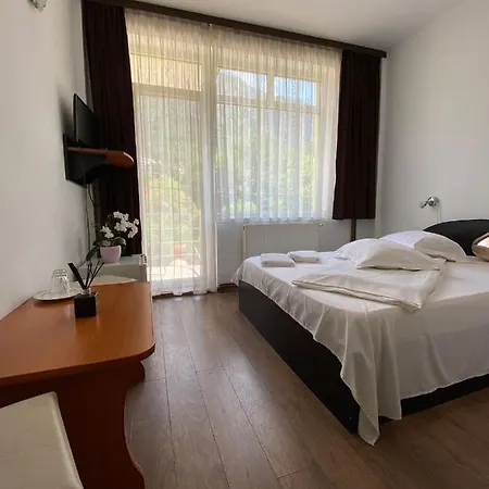 Pensjonat Pensiunea Argus 2*