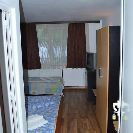 Pensiunea Argus Băile Herculane
