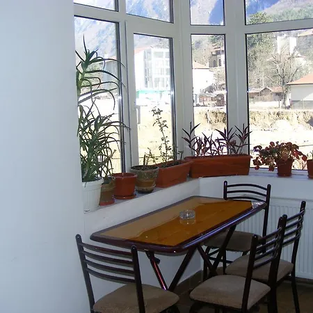 Pensiunea Argus Băile Herculane