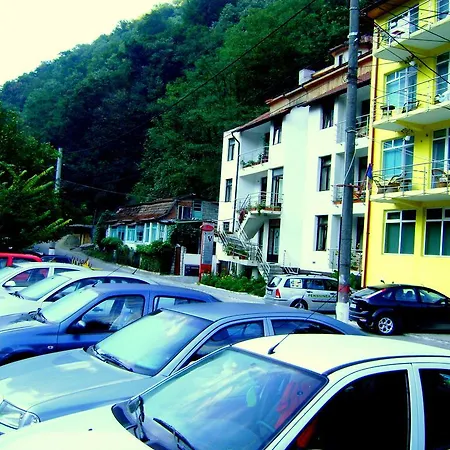 Pensjonat Pensiunea Argus 2*