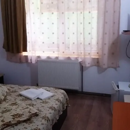 Pensjonat Pensiunea Argus Băile Herculane
